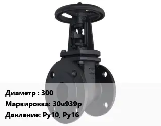 Задвижка чугунная канализационная 300 30ч939р Ру10, Ру16